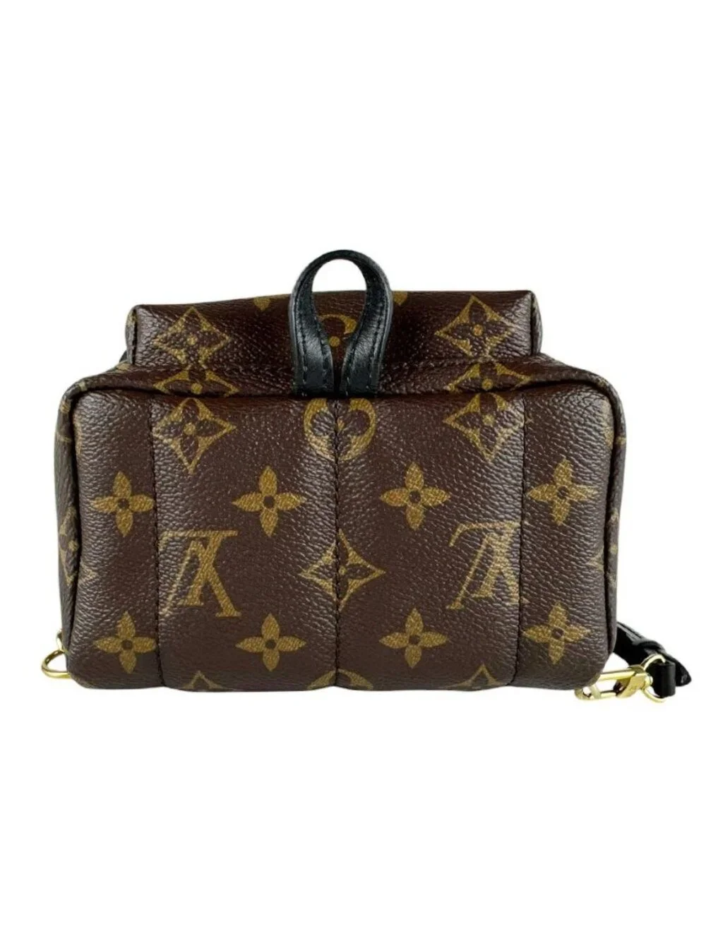 Louis Vuitton Backpack Palm Springs Mini